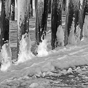 C080193PSWxl