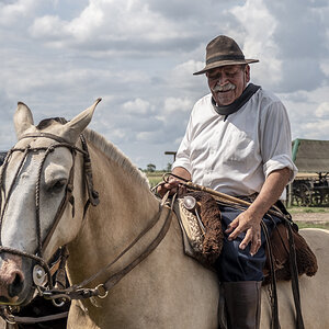 Gaucho