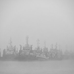 DSC 4299