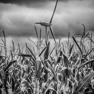 Ohne Titel