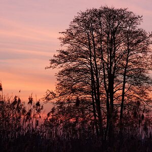 CR7 0986 009Röß Nikon D 750 DxO DxO Sonnenuntergang im Ampertal bei Kirchdorf BY