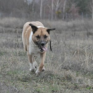 20190129 02 Putin