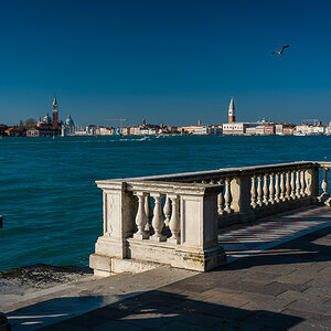 Giardini