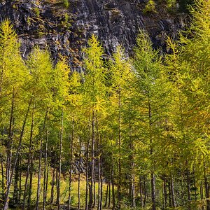 DSC0321 08 10 2018
Bäume, Alpen, Natur, Landschaft