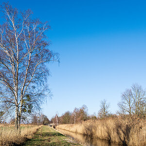 DSC1816 27 02 2019
Bäume, Wolfsburg, Natur, Landschaft