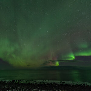 190311 Lofoten 34
