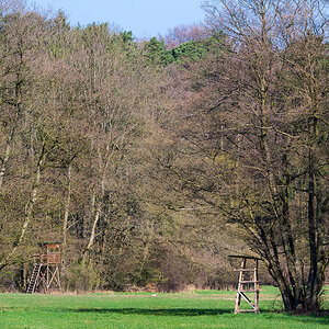 DSC2082 02 04 2019
Bäume, Wald