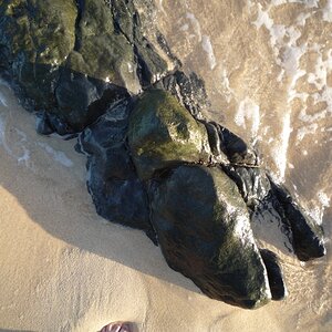 Strand 1
