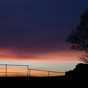 DSC 0105 00001