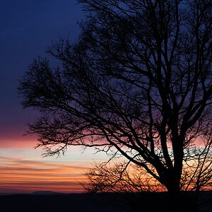 DSC 0109 00001