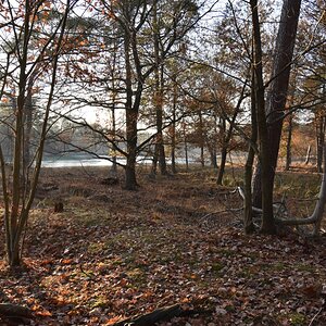 "Schwarzes Wasser" bei Wesel