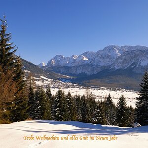 frohe weihnachten