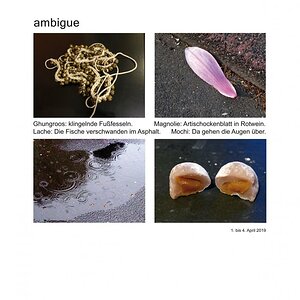 ambigue