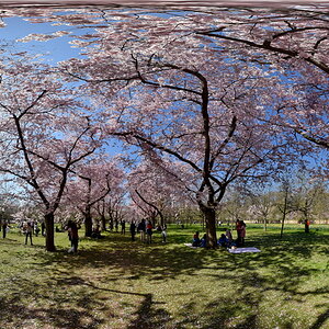 DSK 6776 pano1 nff