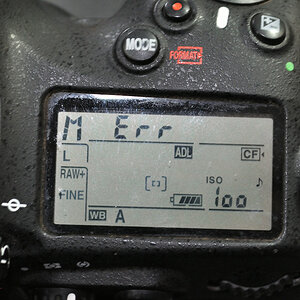 DSC 10140