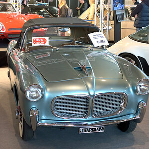 Fiat 1100TV [DSC_1958]