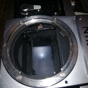 nikon bild 2