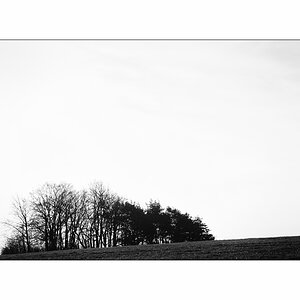 MorgenPZ1 9731