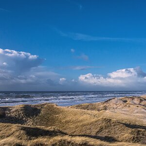 TZ DSC01650 B
Februar 2018
