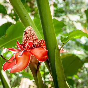 DSC3729