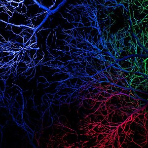 Winterlichter 2019 1339
