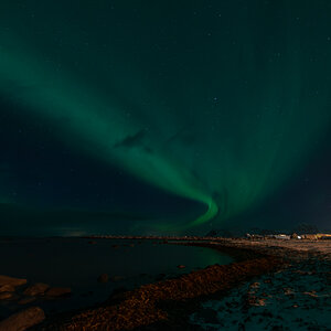 190304 Lofoten  31
