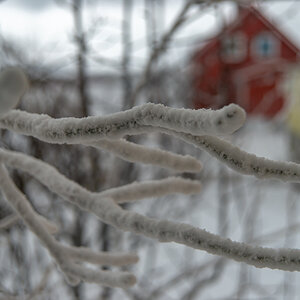 190305 Lofoten  2