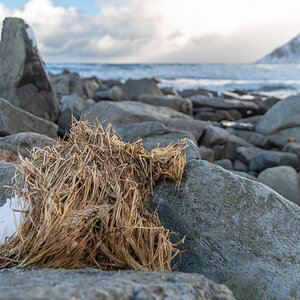 190306 Lofoten  10