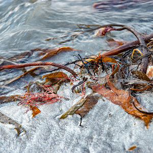 190306 Lofoten  13