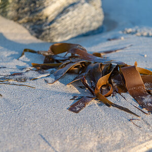 190307 Lofoten 7