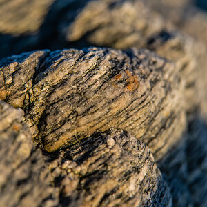 190307 Lofoten 8
