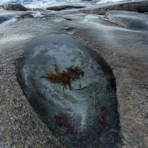 190307 Lofoten 12