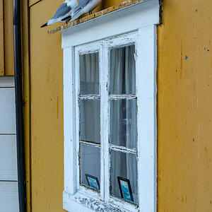 190308 Lofoten 9