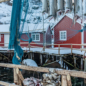 190308 Lofoten 14