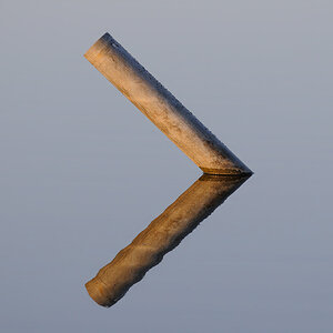 fly scale