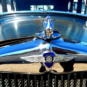 dodge.5