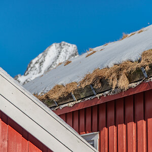 190310 Lofoten 7