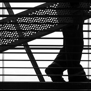 Fenster 2