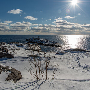 190310 Lofoten 14