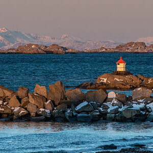 190310 Lofoten 45