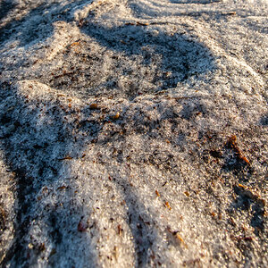 190311 Lofoten 5