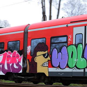 Wolle