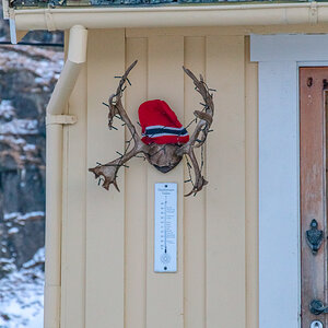 190311 Lofoten 28