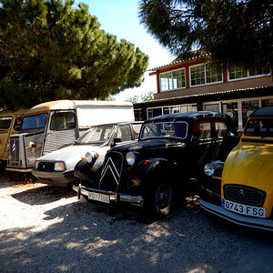 Oldies.1