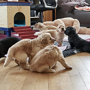 500_4173-1 1.jpg