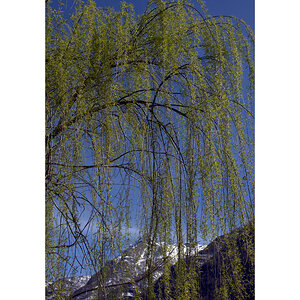 SoPZ1_0164.jpg