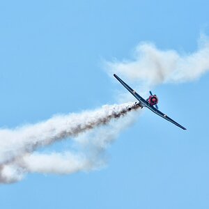 DSJ_2370_1_nff.jpg