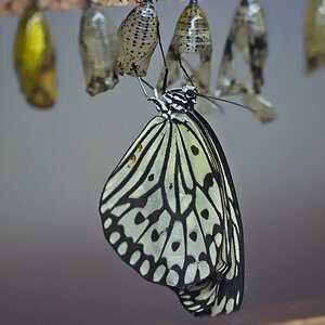 VG_850_1347_on1_1400.jpg