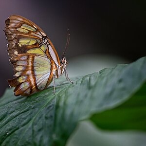 VG_850_1512_on1_1400.jpg