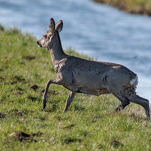 D50_9619_wieder auf dem Trockenen IA_4_2019.jpg